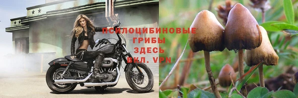 метадон Костерёво