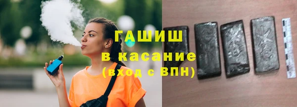 индика Краснотурьинск