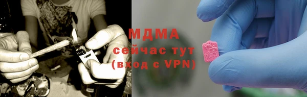 индика Краснотурьинск