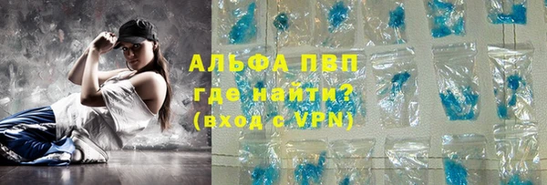 индика Краснотурьинск