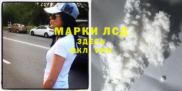 индика Краснотурьинск