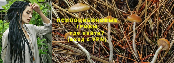 a pvp Корсаков